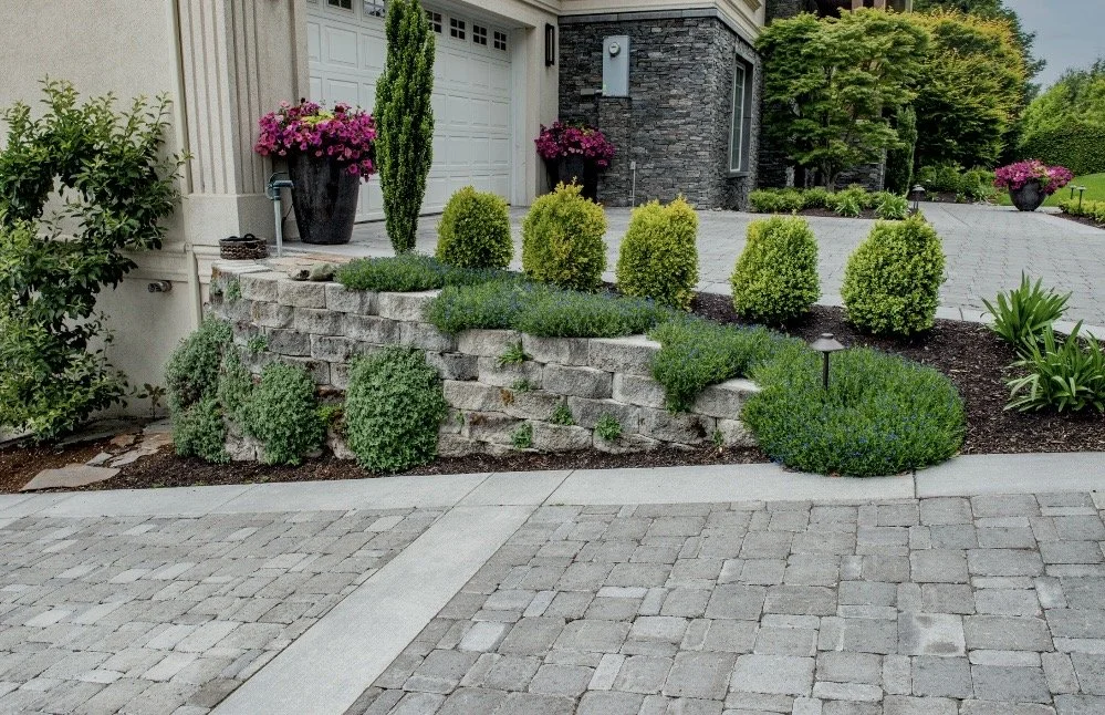 A landscaped front yard with a stone retaining wall, green shrubs, and flower pots with pink flowers in front of a house with a driveway.