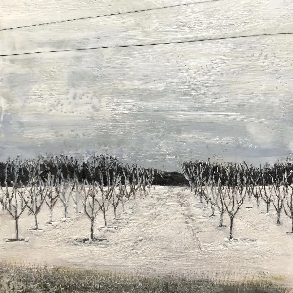 Winter Cherry Trees