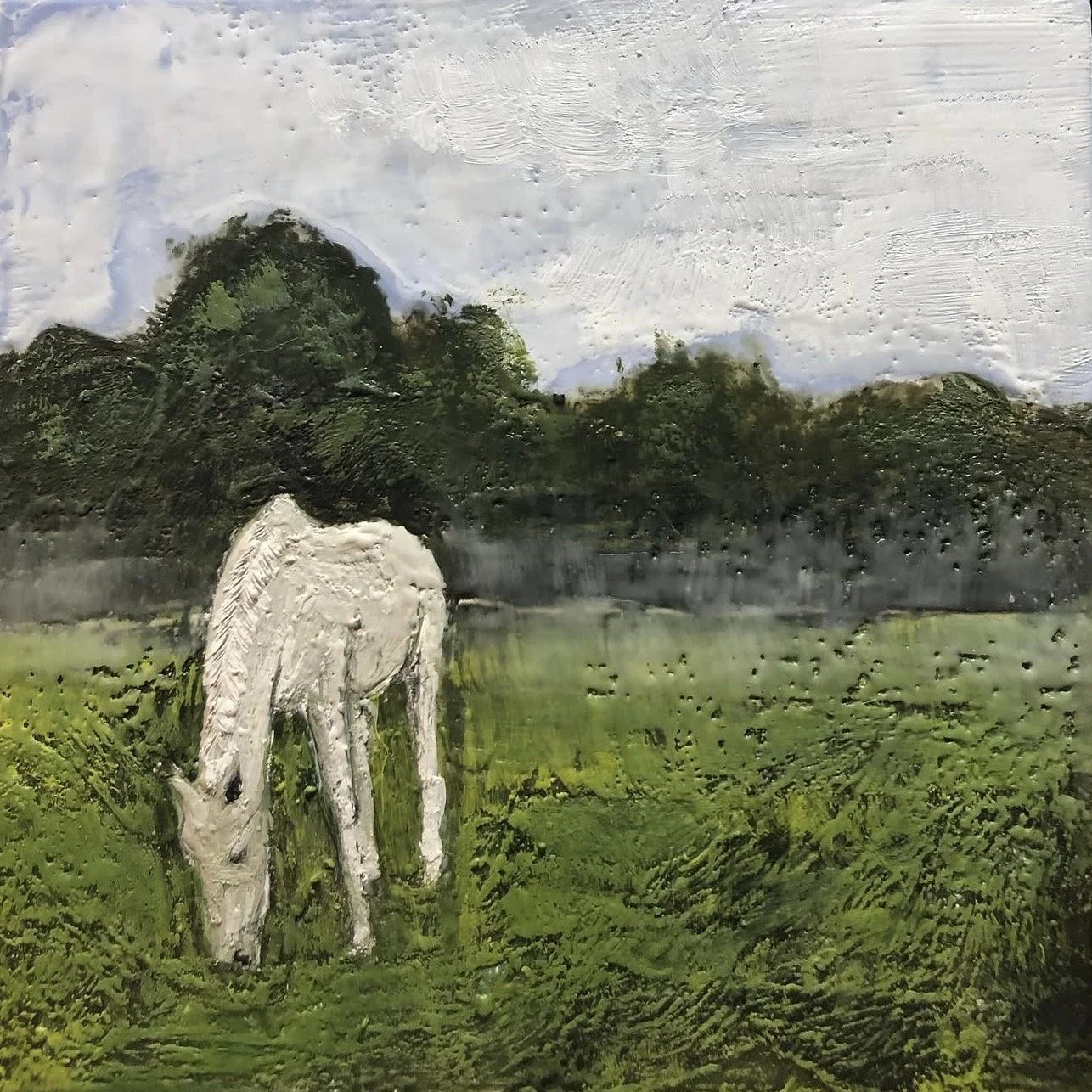White Horse in the Pasture 