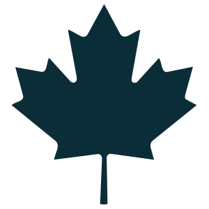Feuille d'érable stylisée de couleur sombre