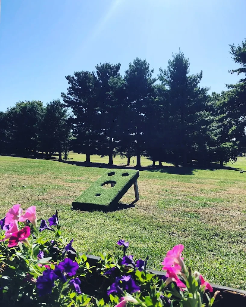 A miniature golf hole with a tilted green ramp on a grassy field, with colorful flowers in the foreground and tall pine trees in the background under a bright blue sky.