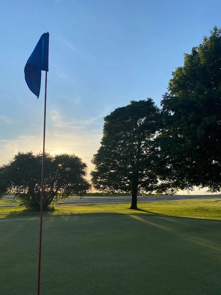 A golf course putting green with a blue flag on a pole, trees casting shadows, and a sunset or sunrise sky in the background.