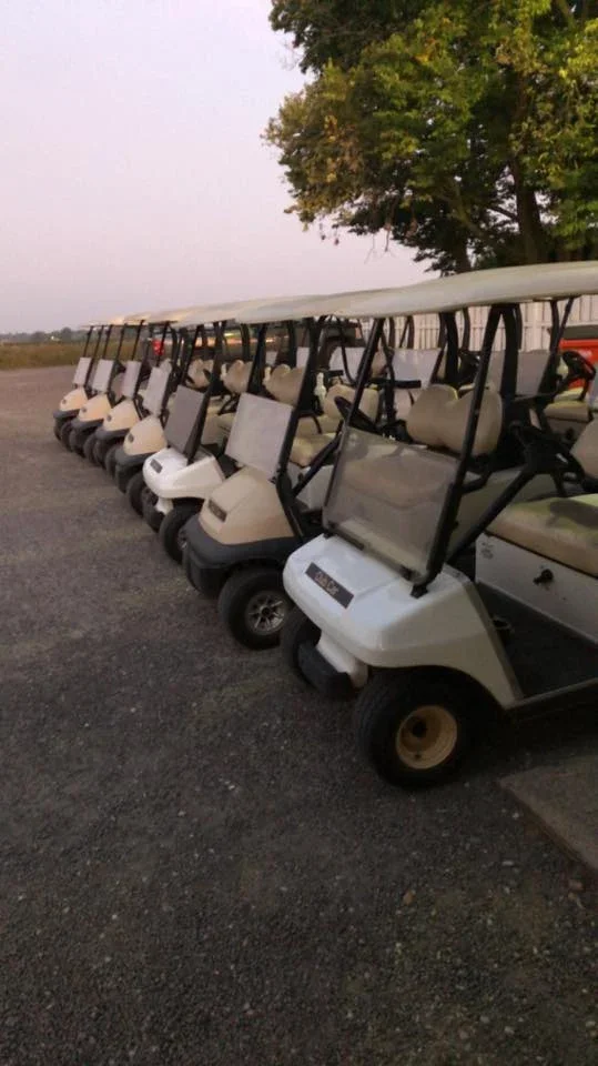 Multiple white golf carts parked in a line on a gravel surface, with trees in the background.