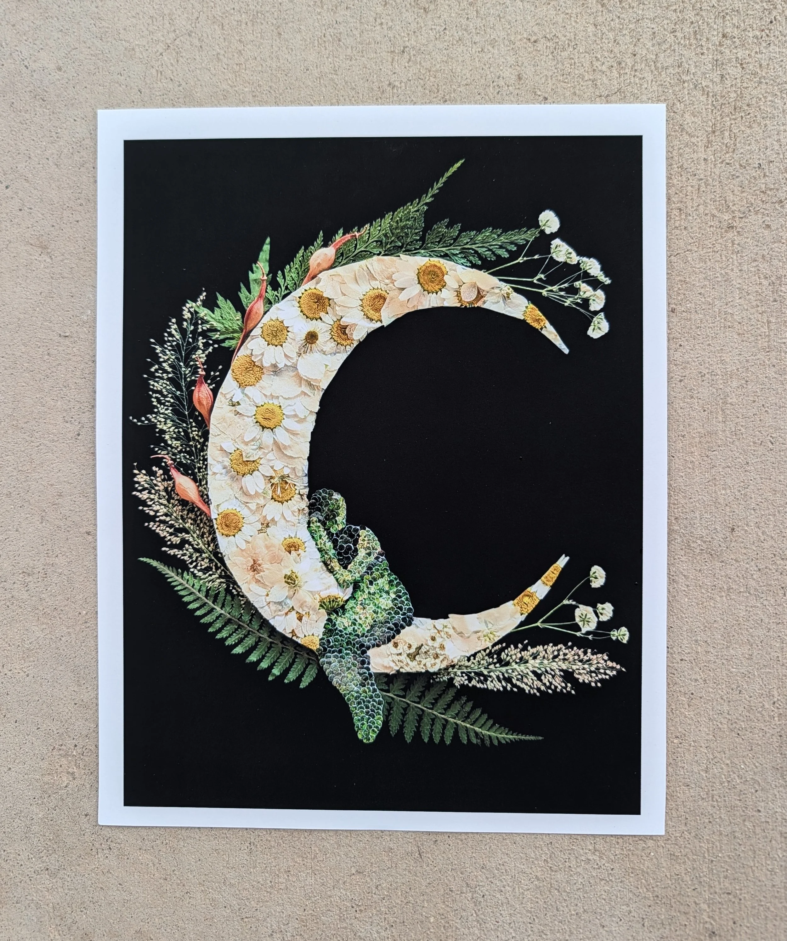 Four of Pentacles.jpg