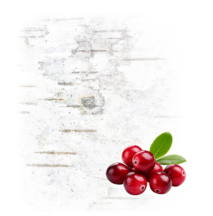 Cluster of red cranberries with green leaves on a white textured background.