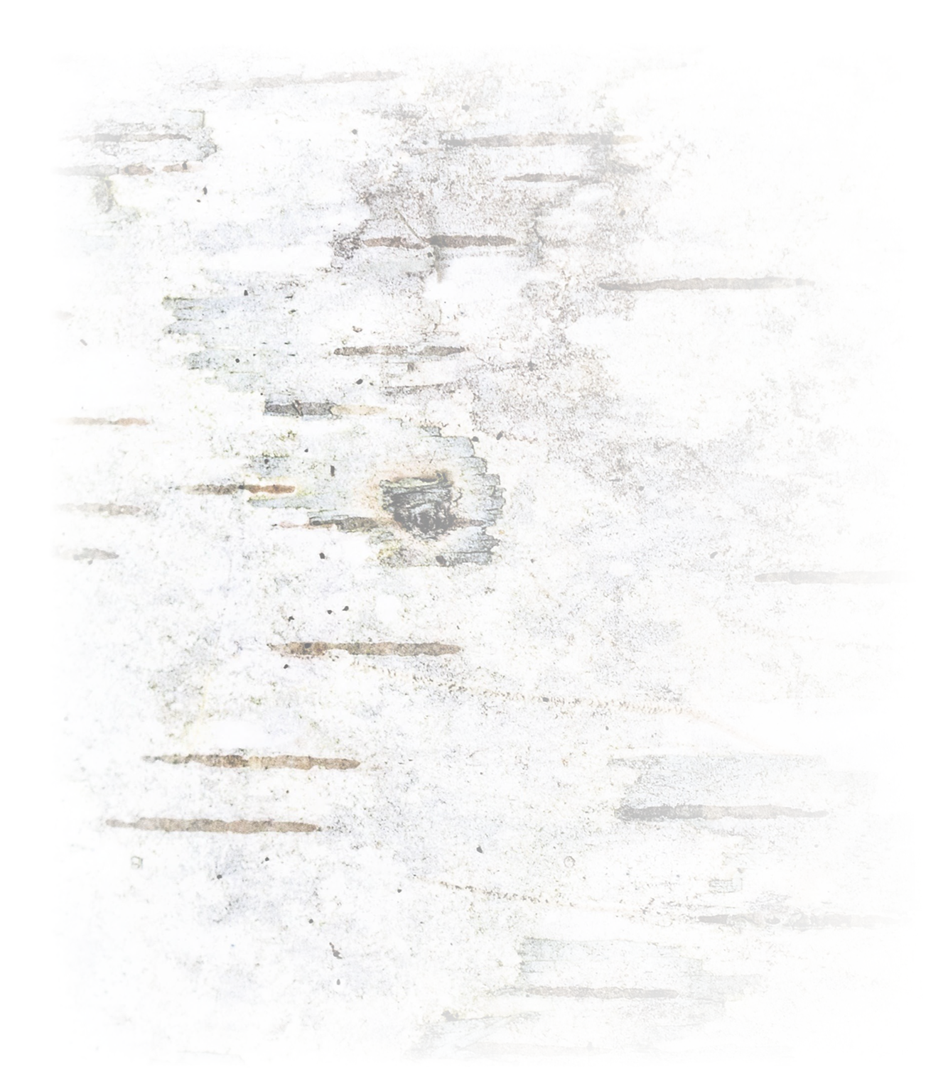 Faded and weathered white wooden surface with peeling paint and visible wood grain.