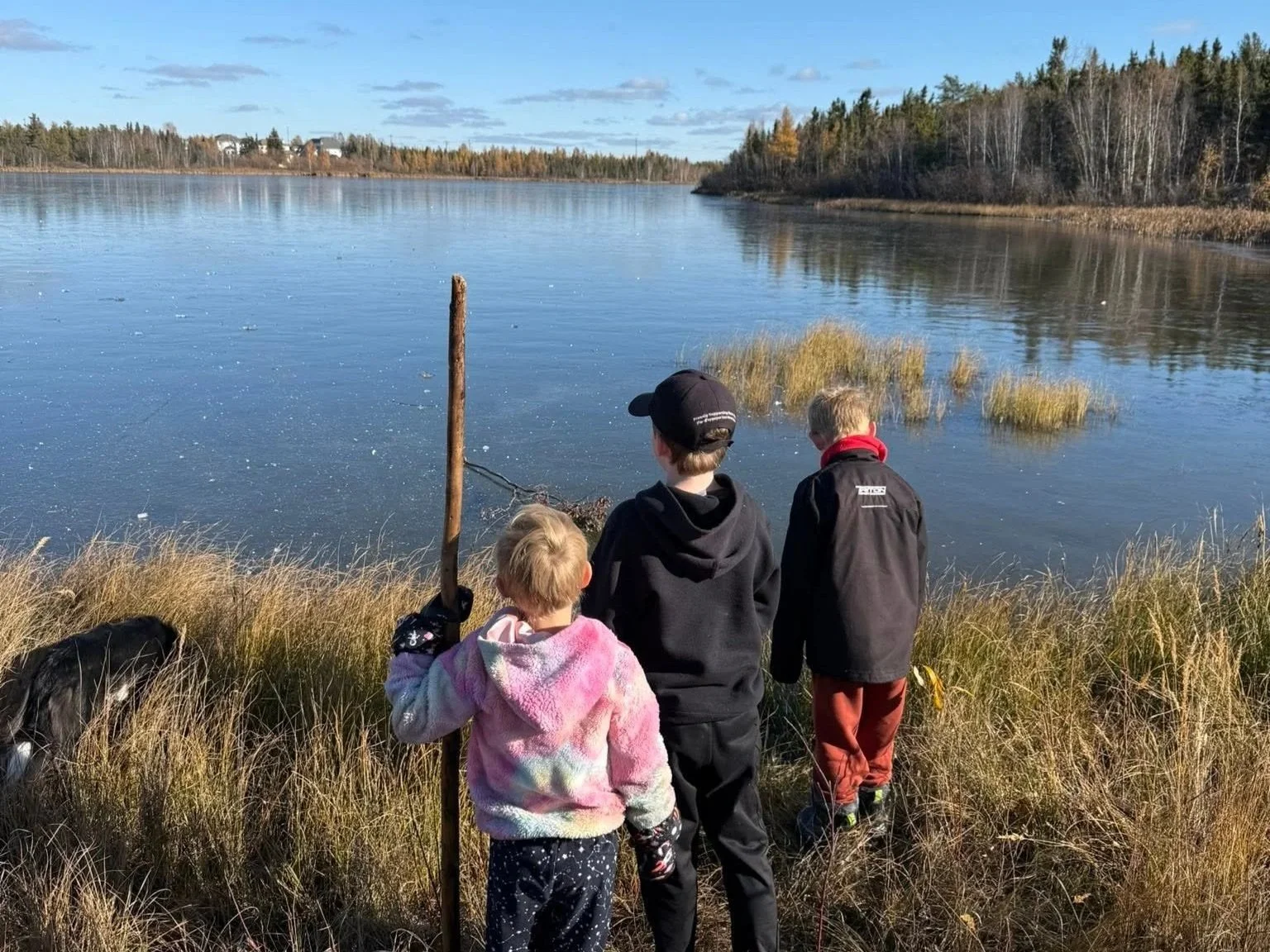 Three children and a dog by a lake with reeds, trees, and houses in the background, under a partly cloudy sky.