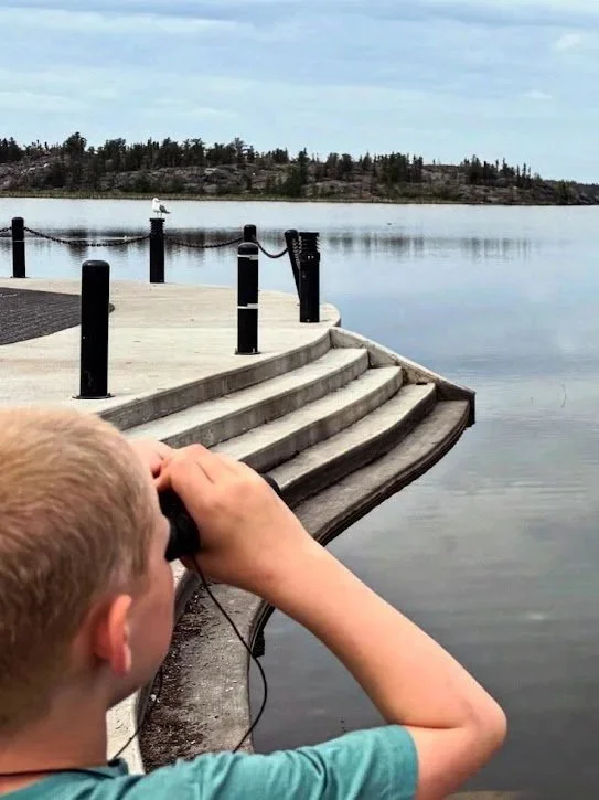 A boy with short blond hair looking through binoculars at a waterfront scene. The scene includes concrete steps leading down to a calm body of water, with a small island or landmass in the background. The sky is partly cloudy.