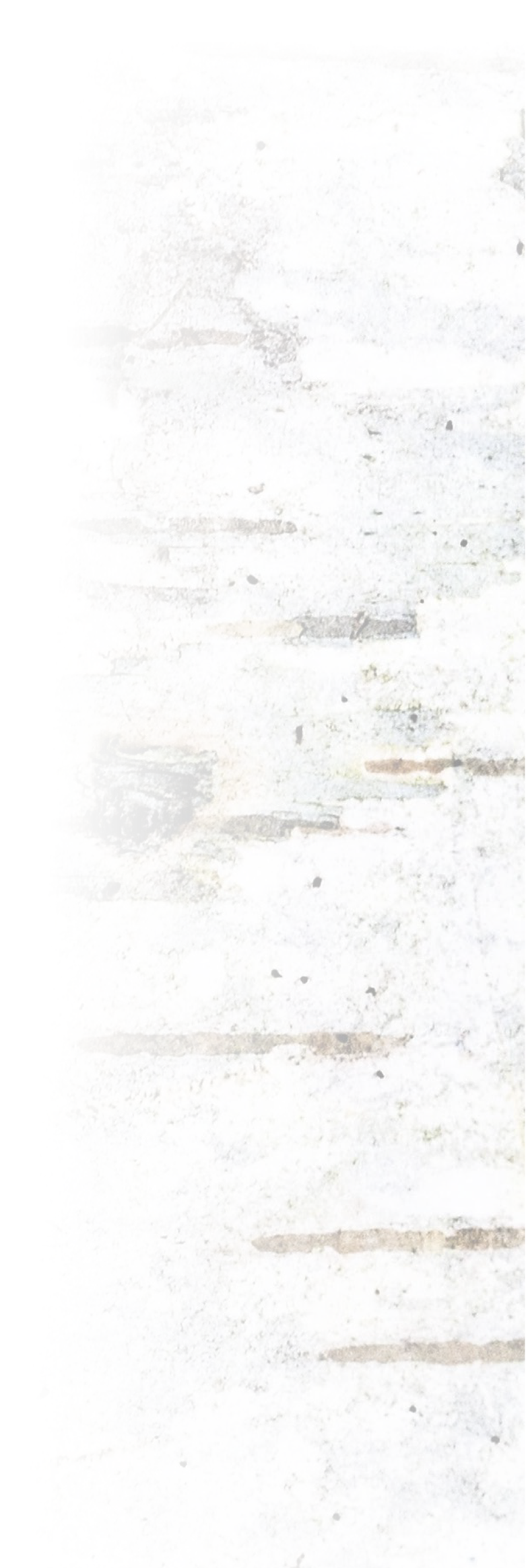Faded, weathered white wooden surface with horizontal planks and some discoloration.
