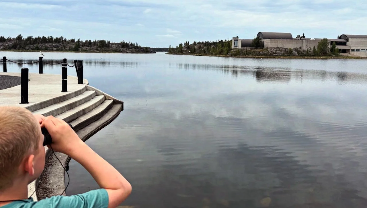 A young boy with blonde hair using binoculars at a waterfront, with stairs leading down to the water, a calm body of water, trees and modern buildings in the background, and a cloudy sky.