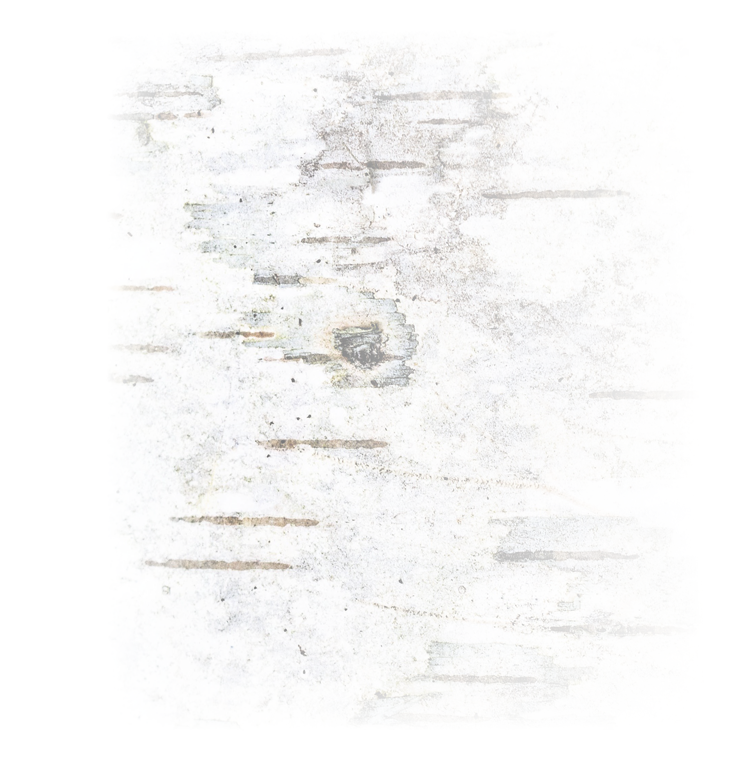 Faded, worn white brick wall with visible texture and imperfections.