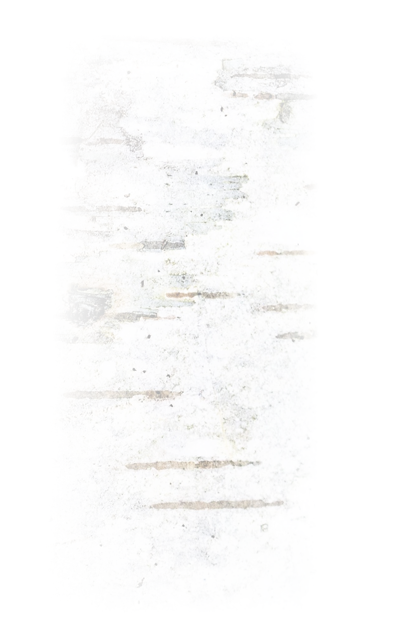Faded white wall with patches of exposed brick and distressed texture.