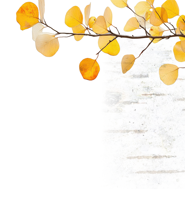 Branch with yellow and orange leaves against a white and textured background.