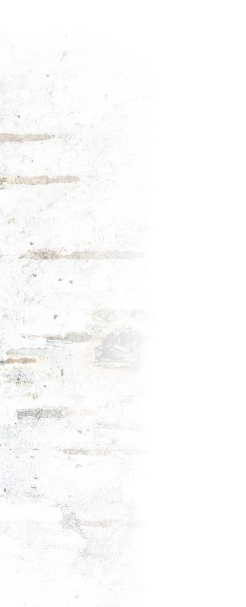 Blurred white and gray textured surface, possibly a wall or paper.
