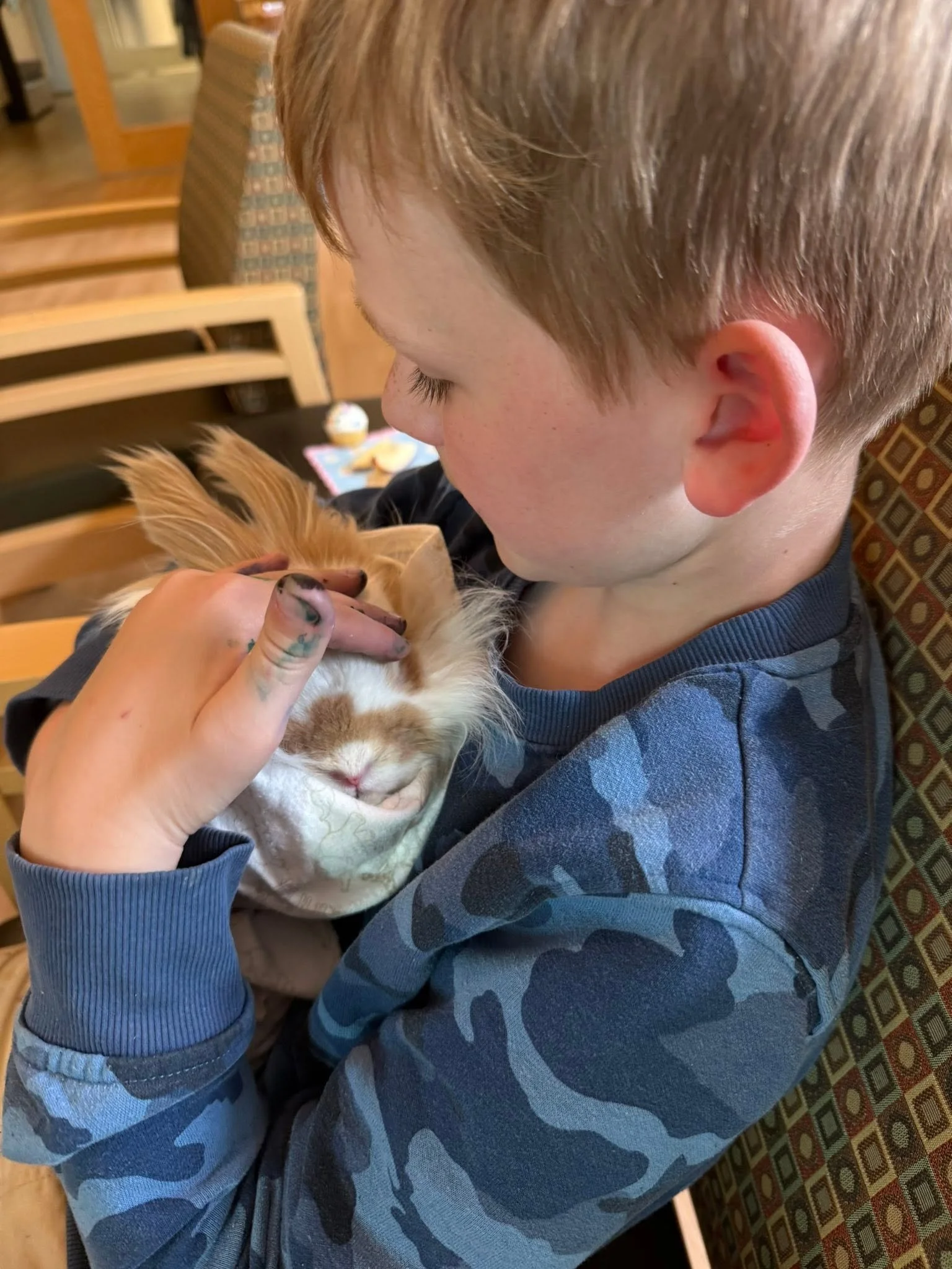 A young boy with light brown hair holding a small, fluffy orange and white kitten close to his chest indoors.