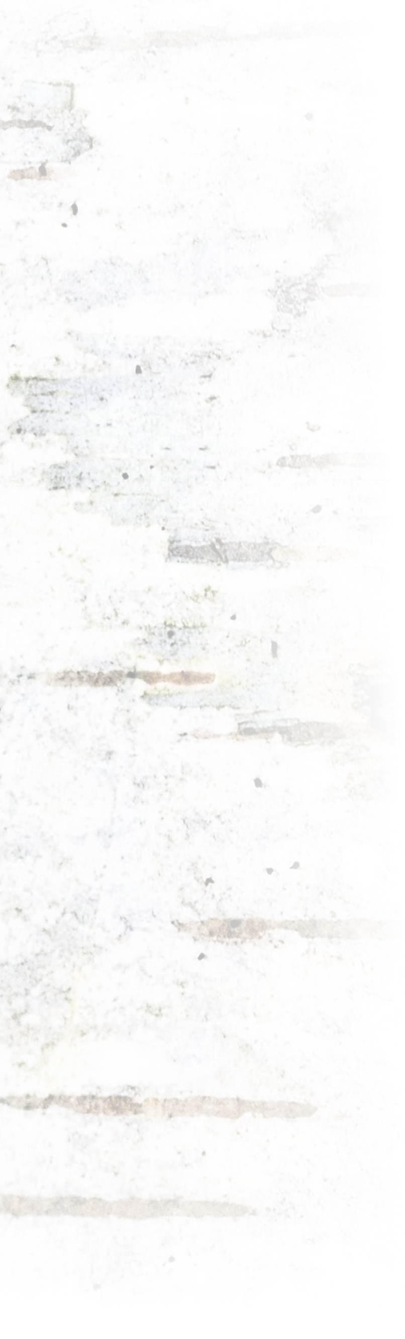 Light-colored, textured, weathered wooden surface with visible grain and imperfections.