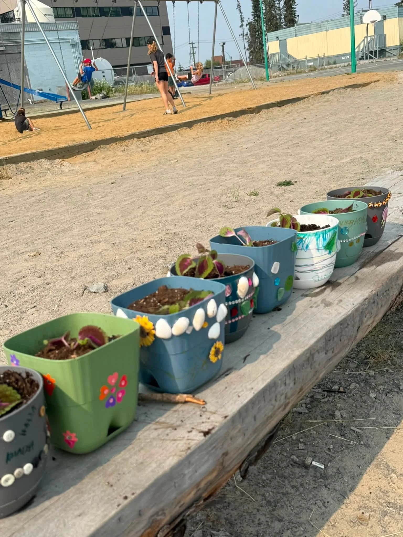 Colorful flowerpots with young plants on a weathered wooden bench at a playground with children playing on swings in the background.