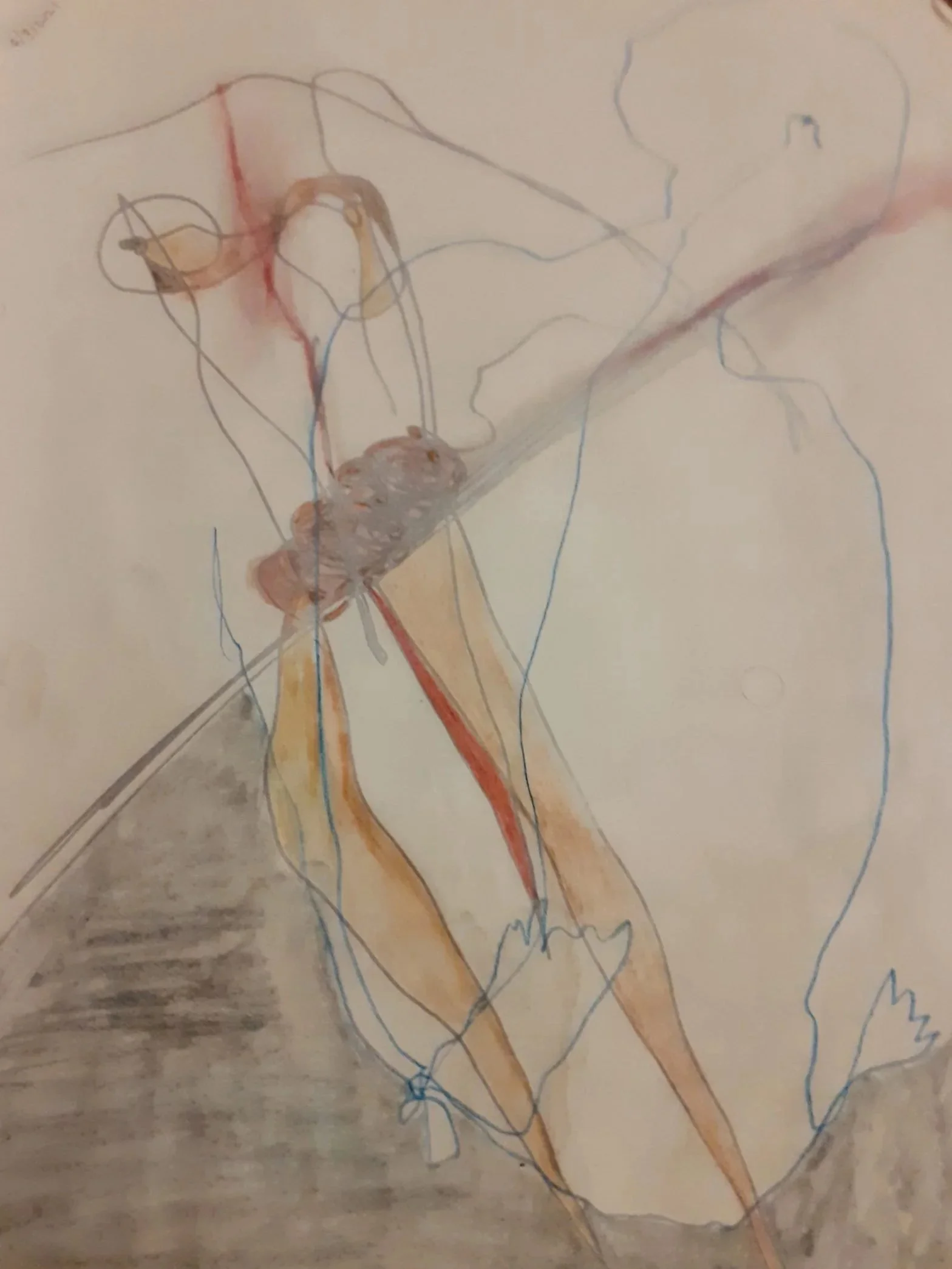 Drawing .Abstract body. Female. Energy lines maybe highlighting nerves, blood vessels, and structures in the head and upper body.