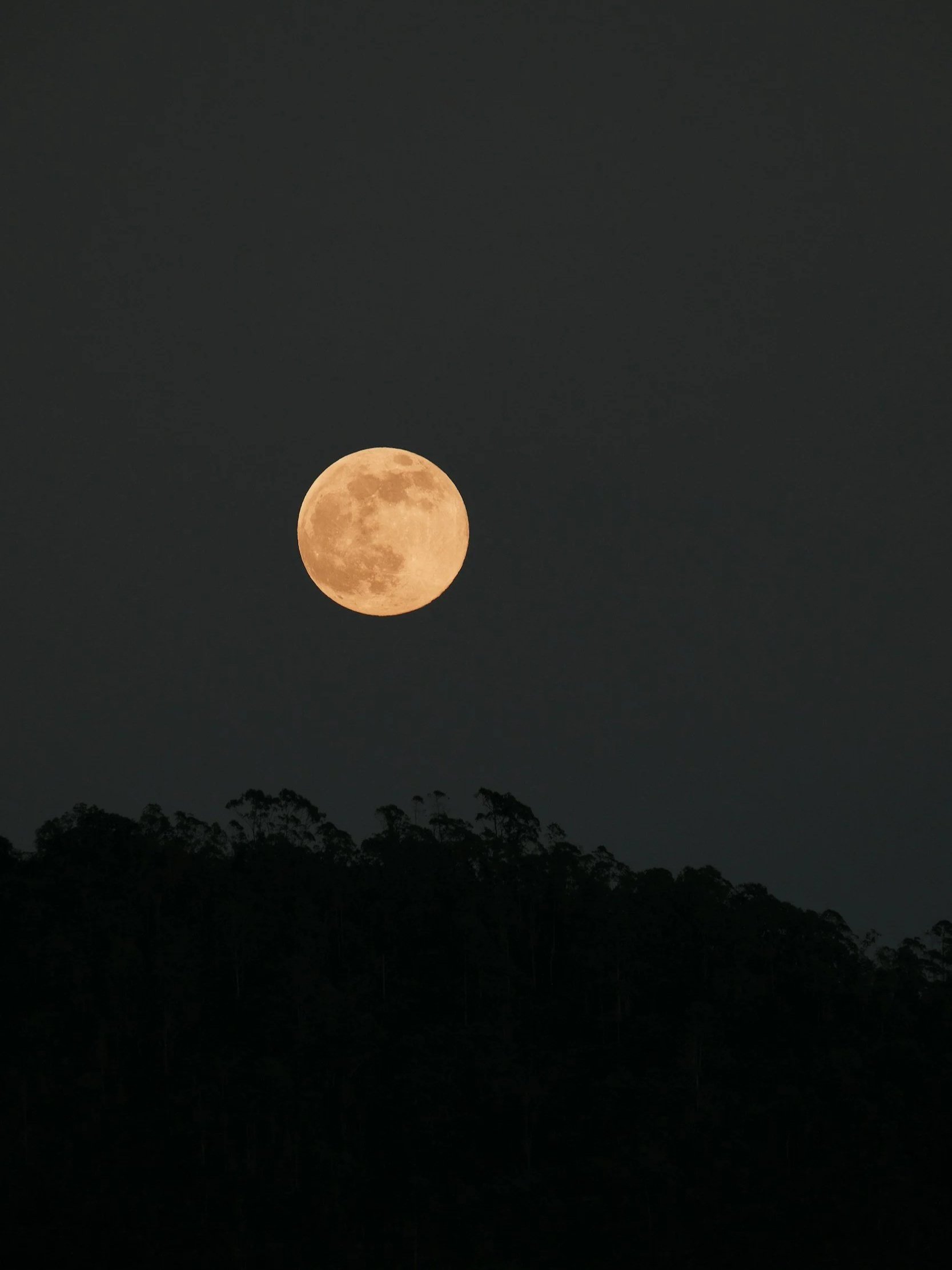 A bright full moon in a dark night sky above a silhouette of trees along a distant horizon.