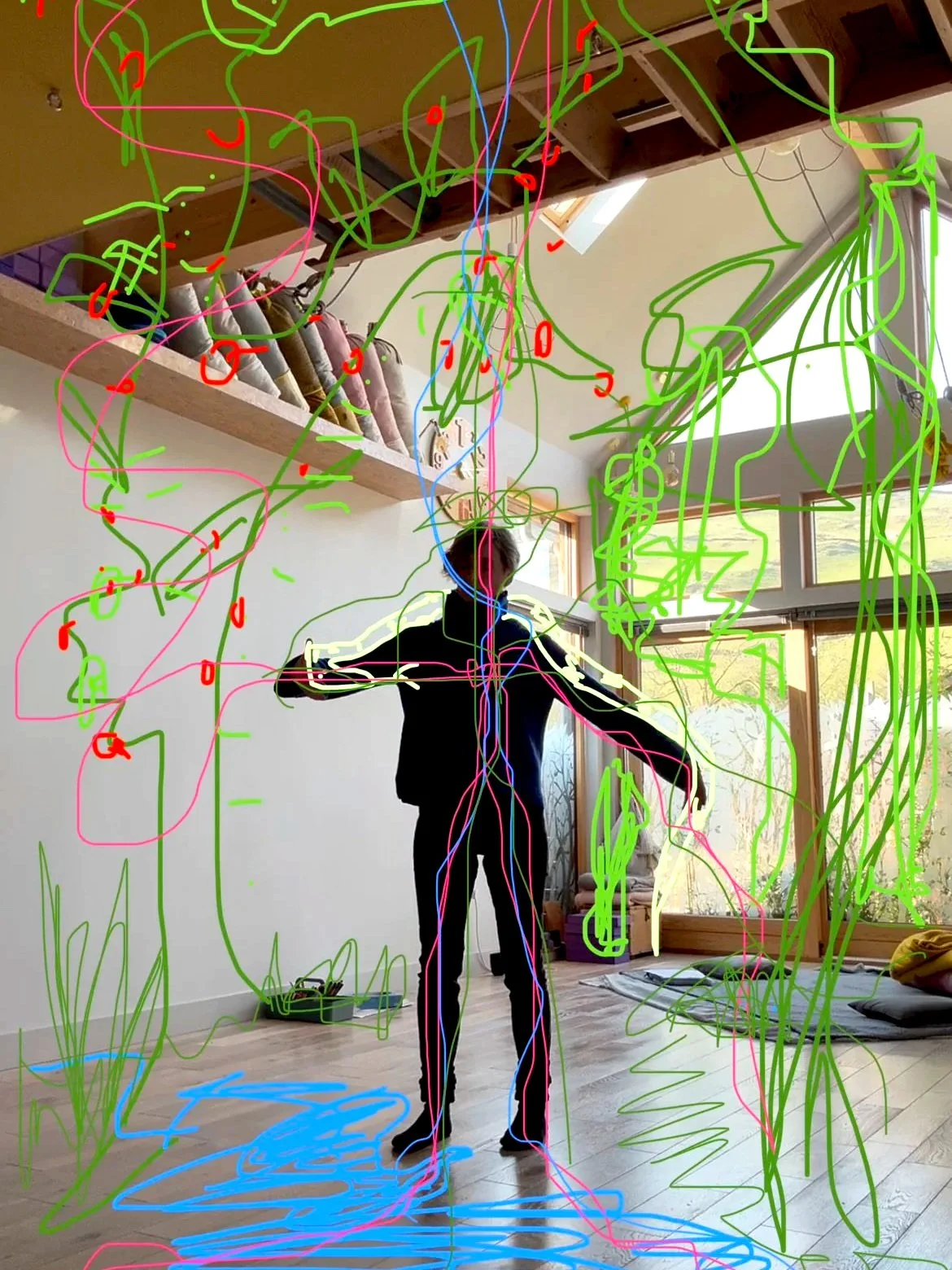 A person in a black suit standing in a room with large windows and wooden floors, with various colored lines and markings overlaid on the image. Greenery. Snake. Overlaid pool of water on the floor.
