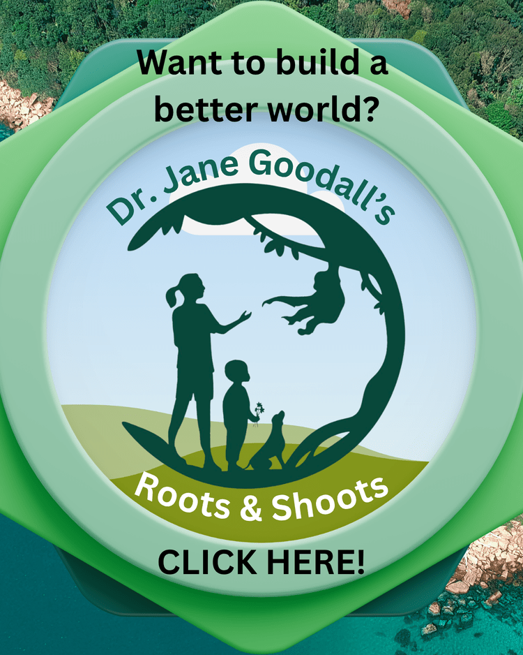 Want to build a better world? Dr. Jane Goodall's Roots & Shoots logo