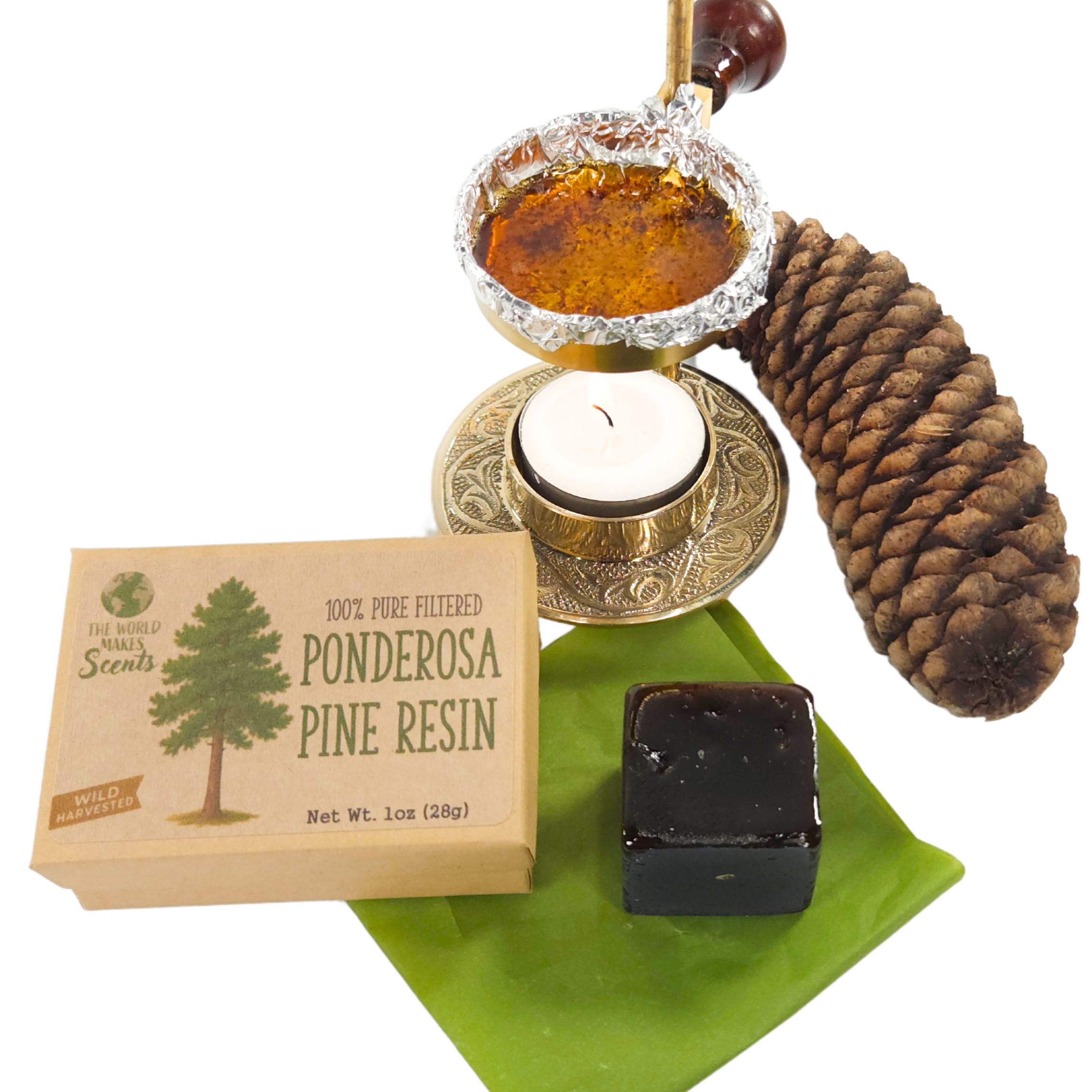 PONDEROSA PINE RESIN 04.png