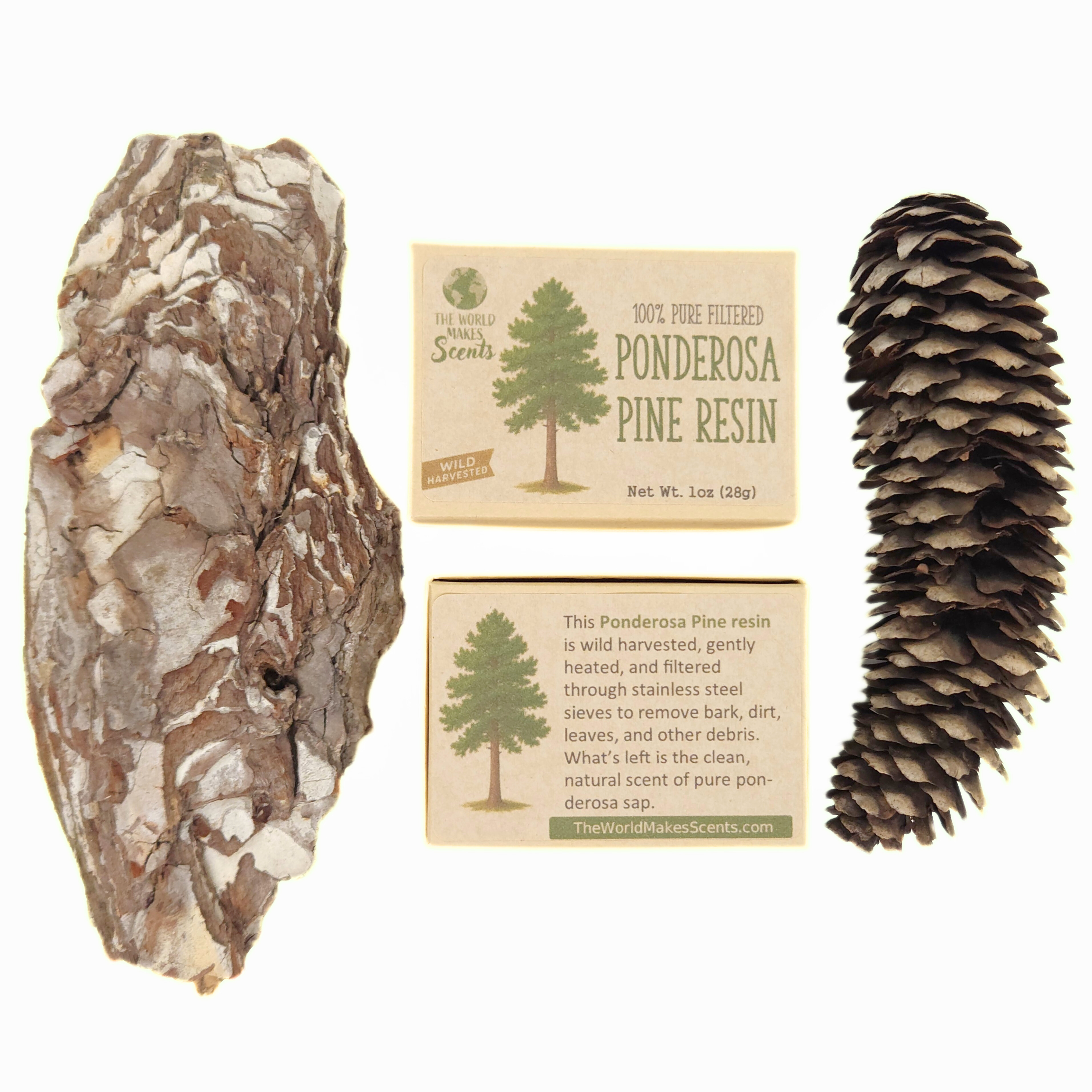 PONDEROSA PINE RESIN 02.png