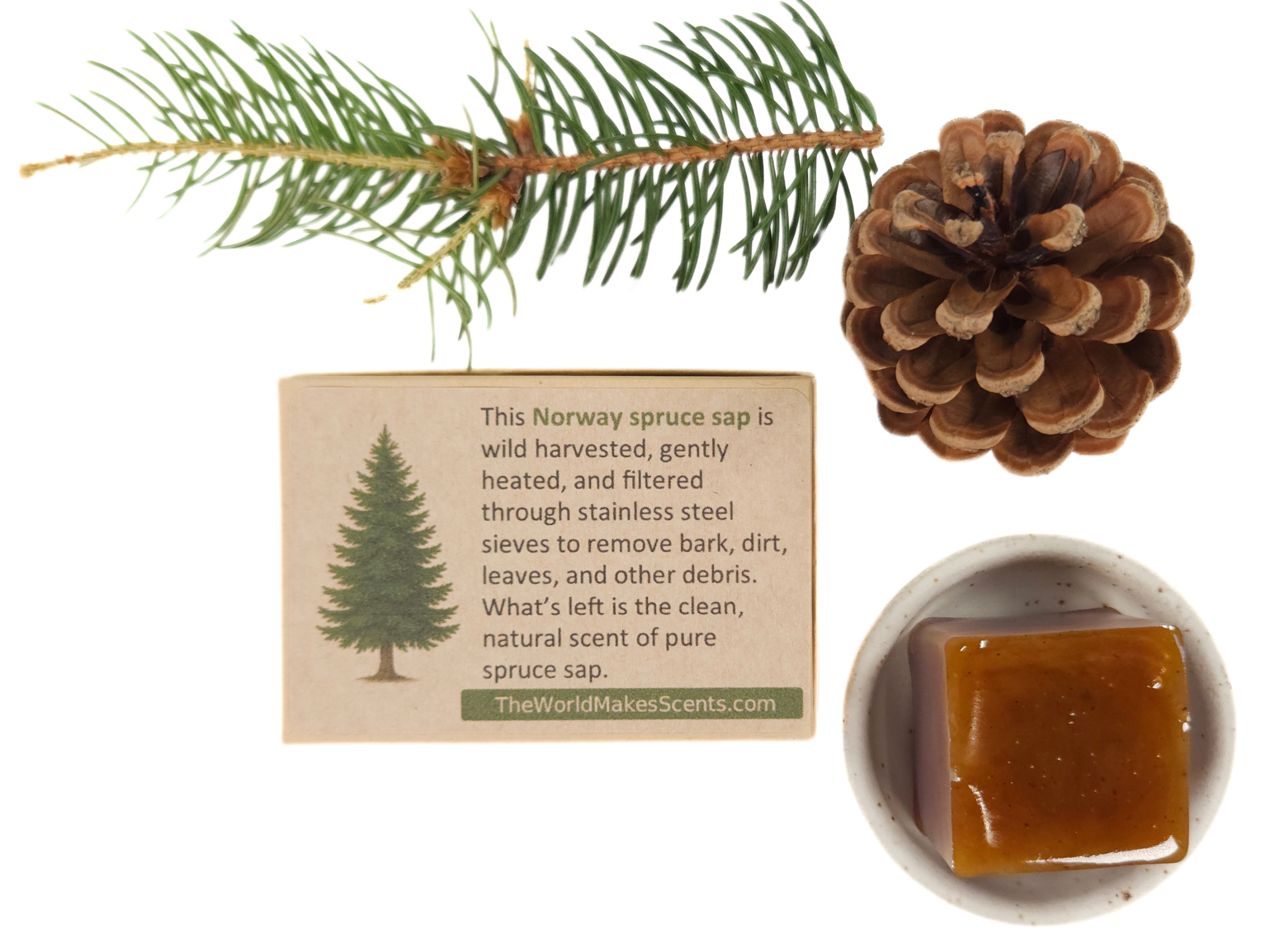 Norway Spruce Resin Photo 2.png