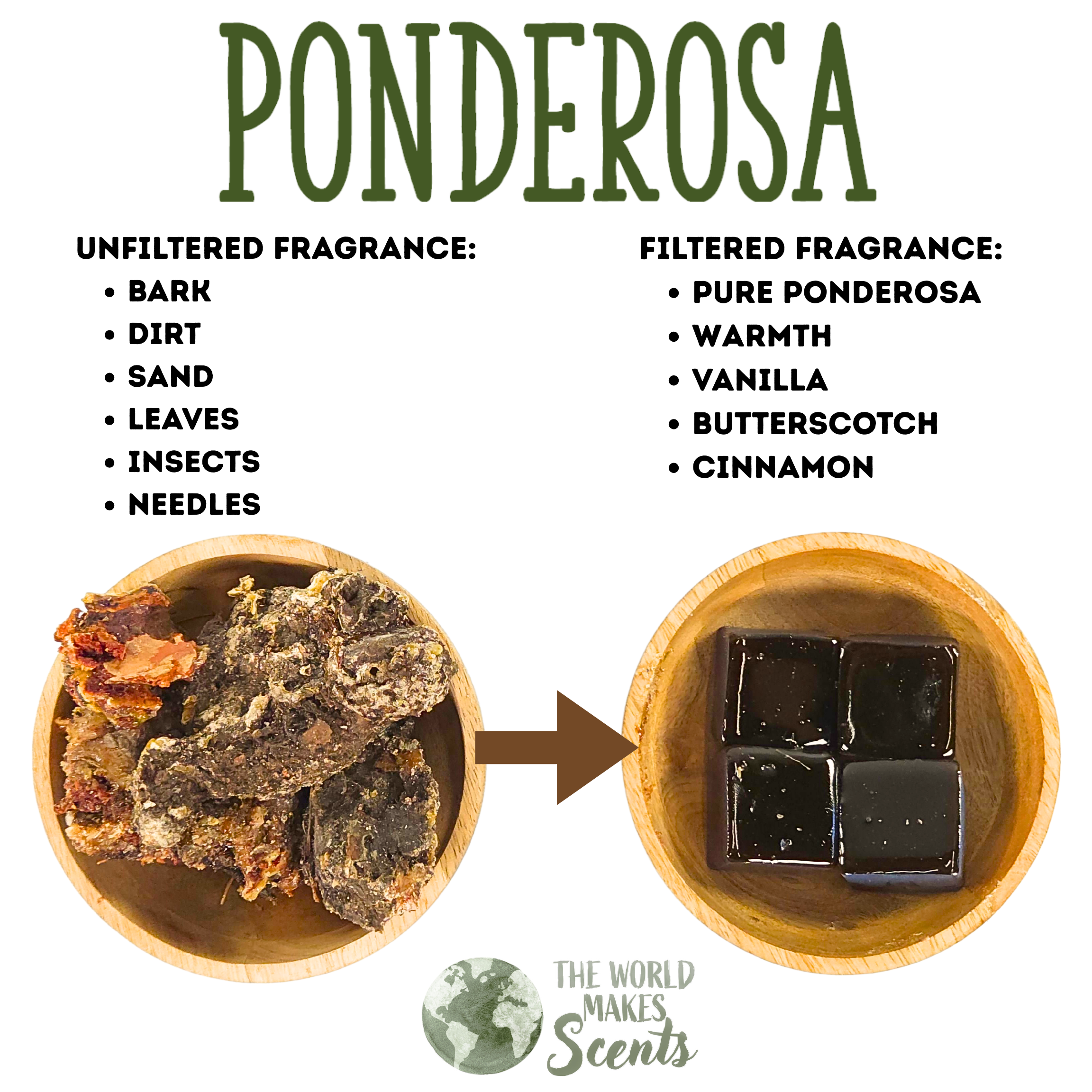PONDEROSA PINE RESIN 05.png