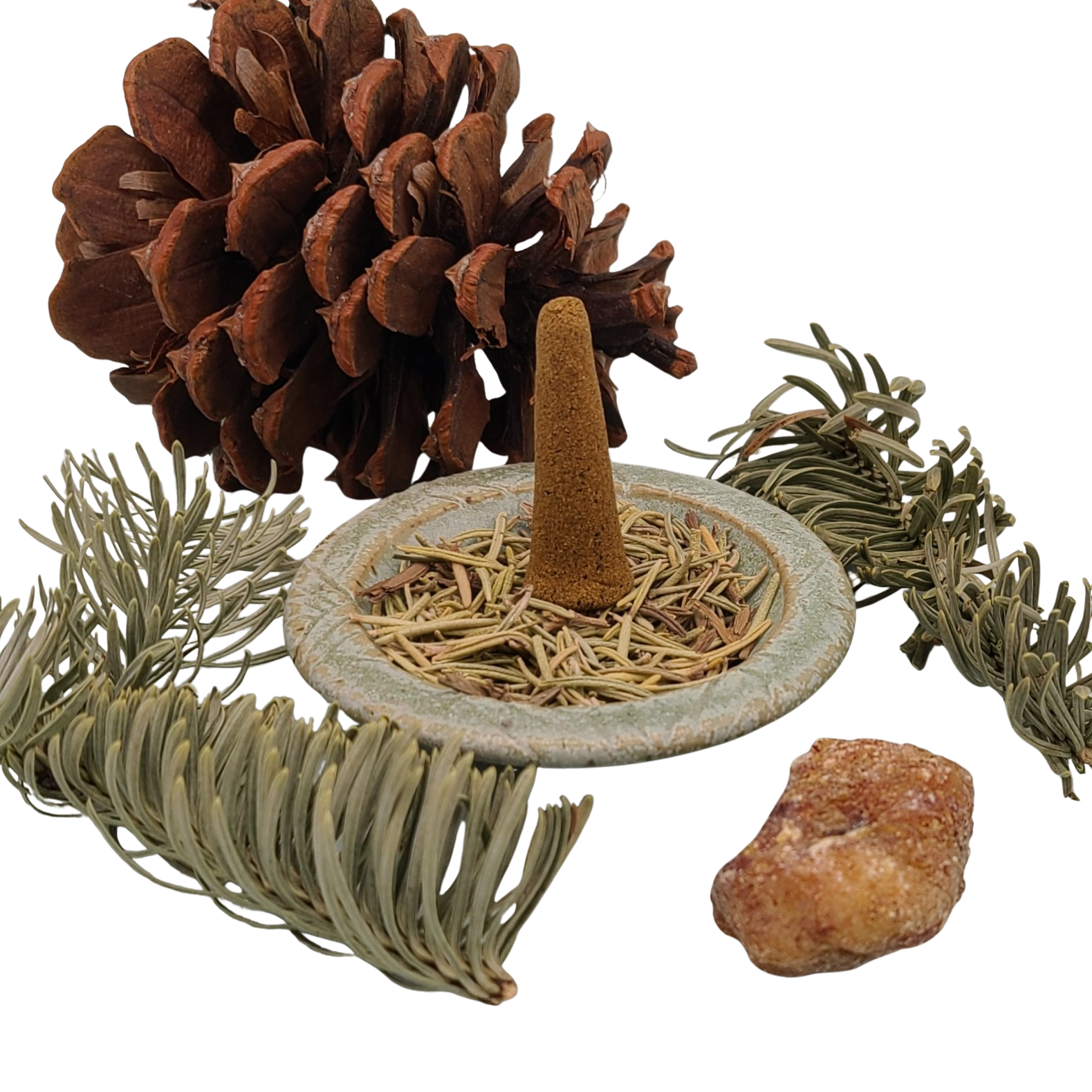 NORTH WINTER WOODS CONES 02.png