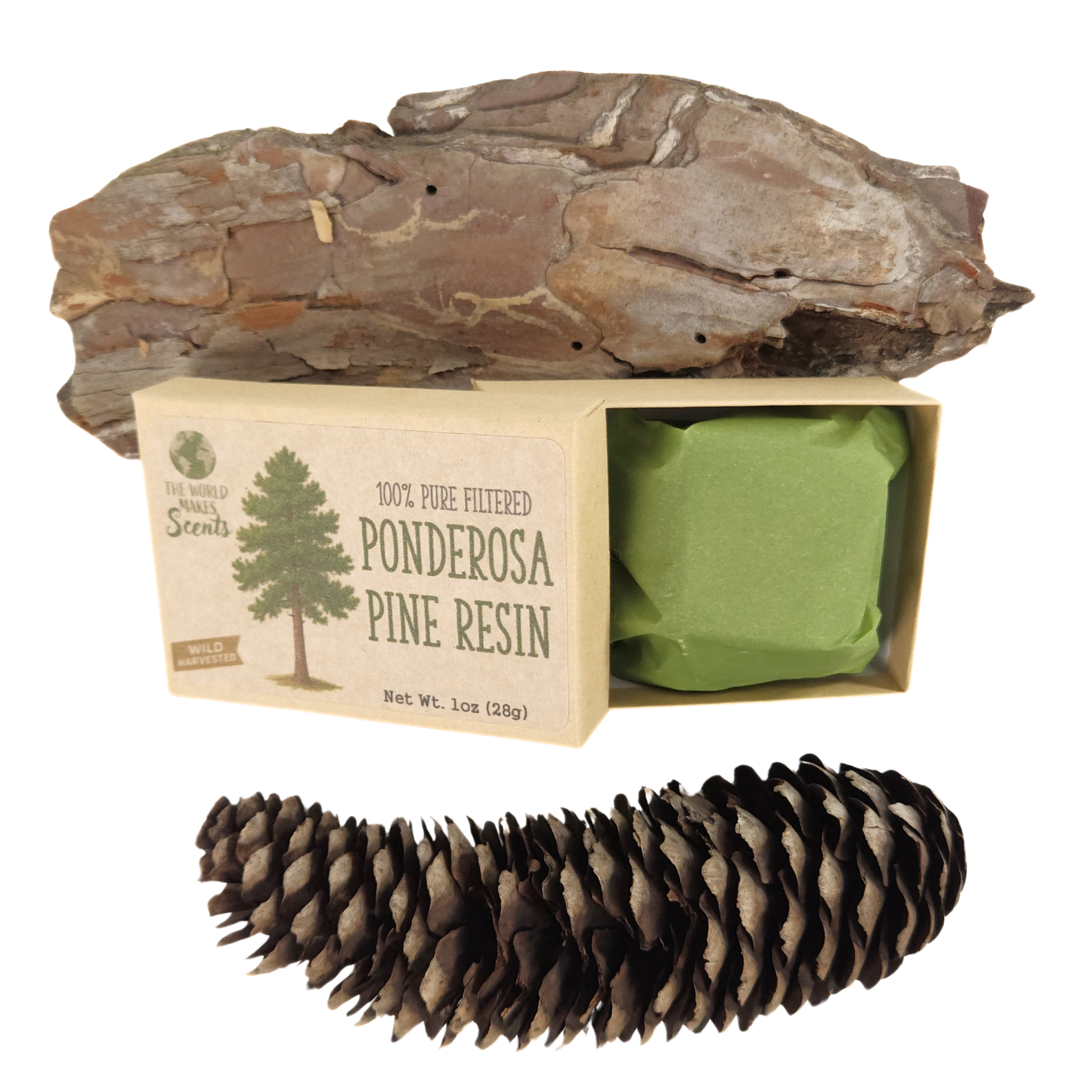 PONDEROSA PINE RESIN 03.png