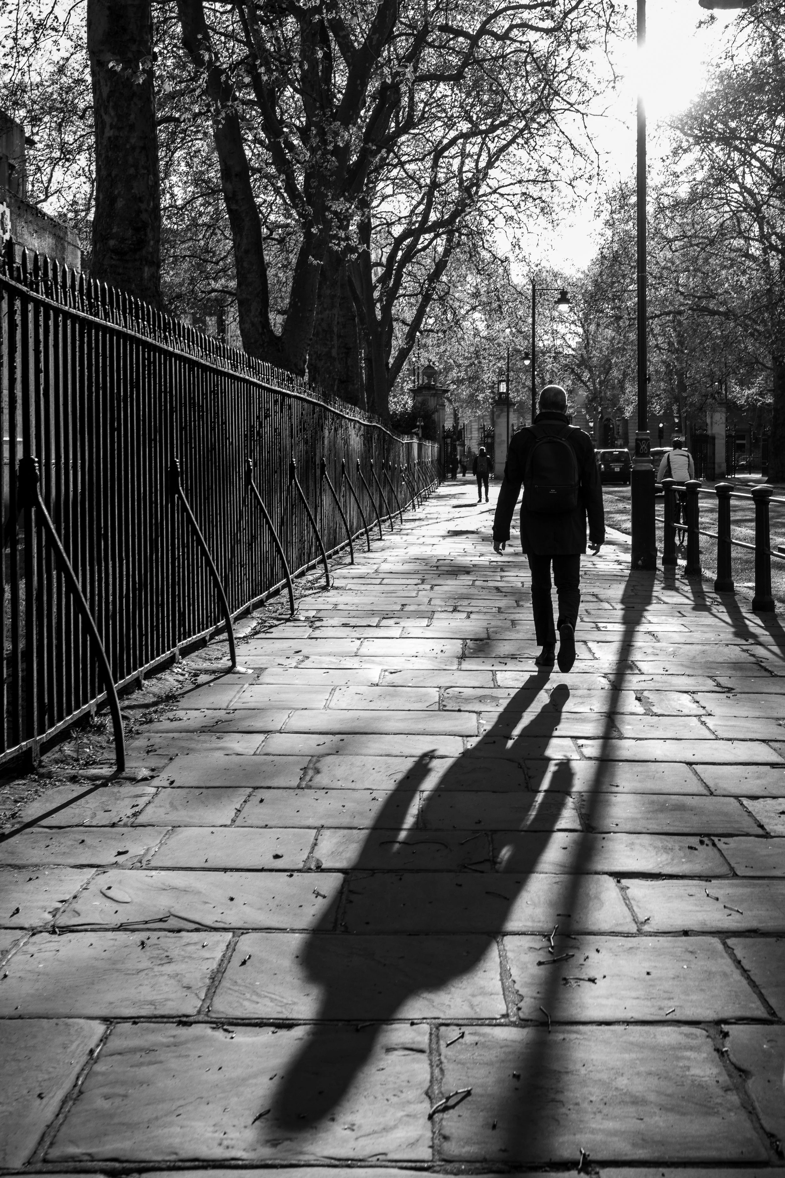 Black and white photo of a person walking along a sidewalk in a city park area, with long shadows cast by the trees and a street lamp, trees with bare branches, and a fence on the left side.