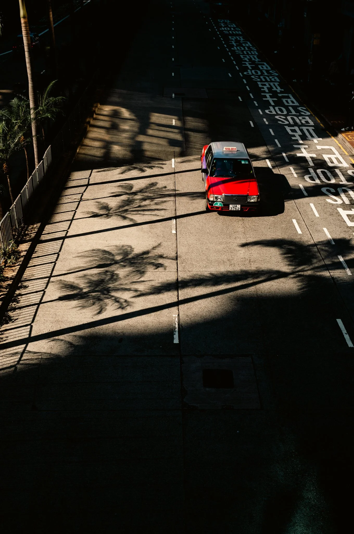 An overhead view of a red taxi cab parked on a city street with shadows of palm trees cast across the sidewalk and street markings. The street is marked with bus, stop, and lane designations.
