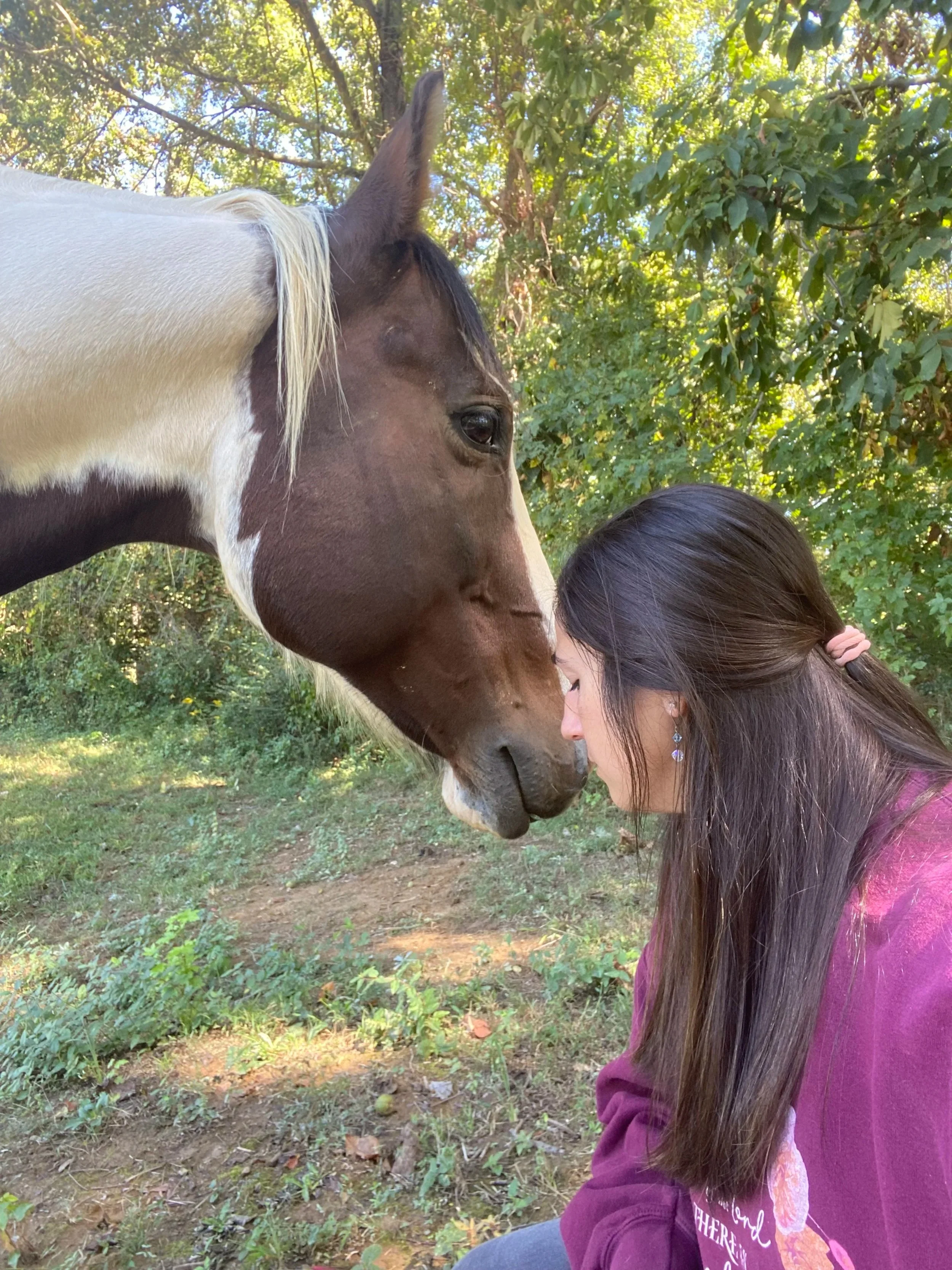 Horse Girl Theology: When Creation Teaches Us to See