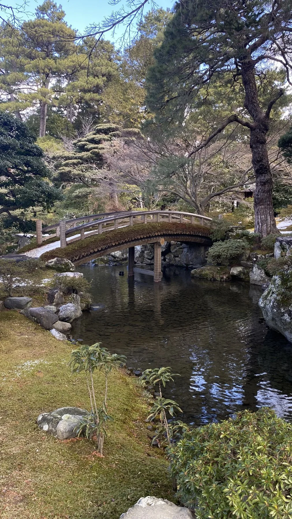A wooden garden bridge over a pond in Kyoto, Japan.