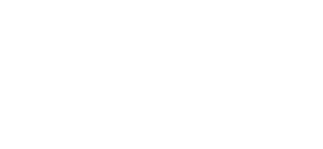 The Sophia Project.png