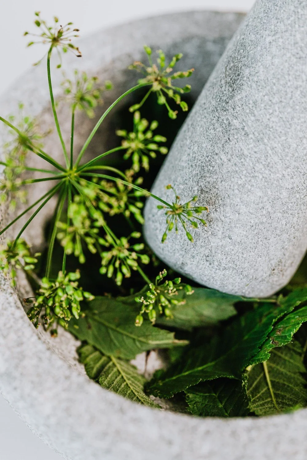 Online ayurveda course with 21 sacred daily rituals.