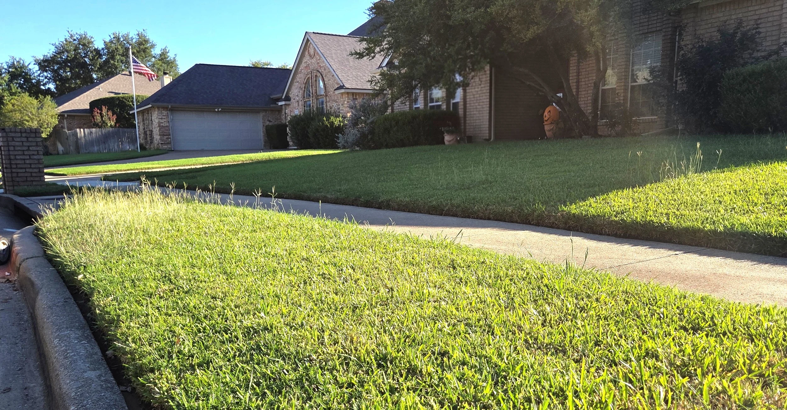 BEFORE - Lawn Maintenance