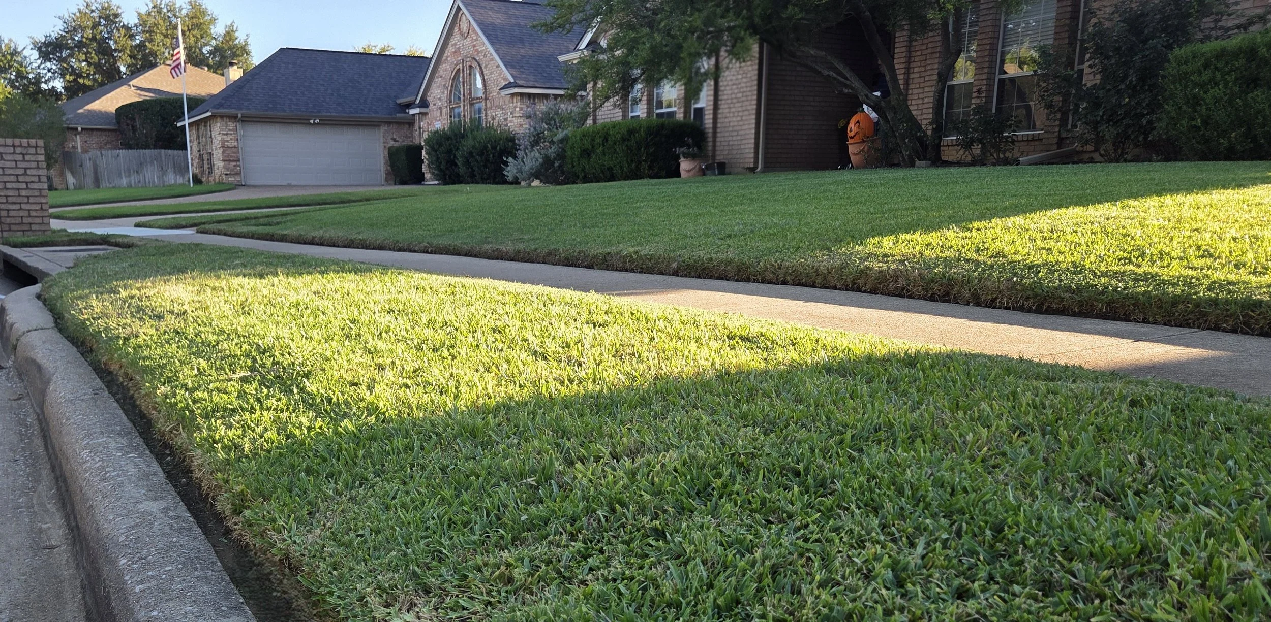 AFTER - Freshly Mowed