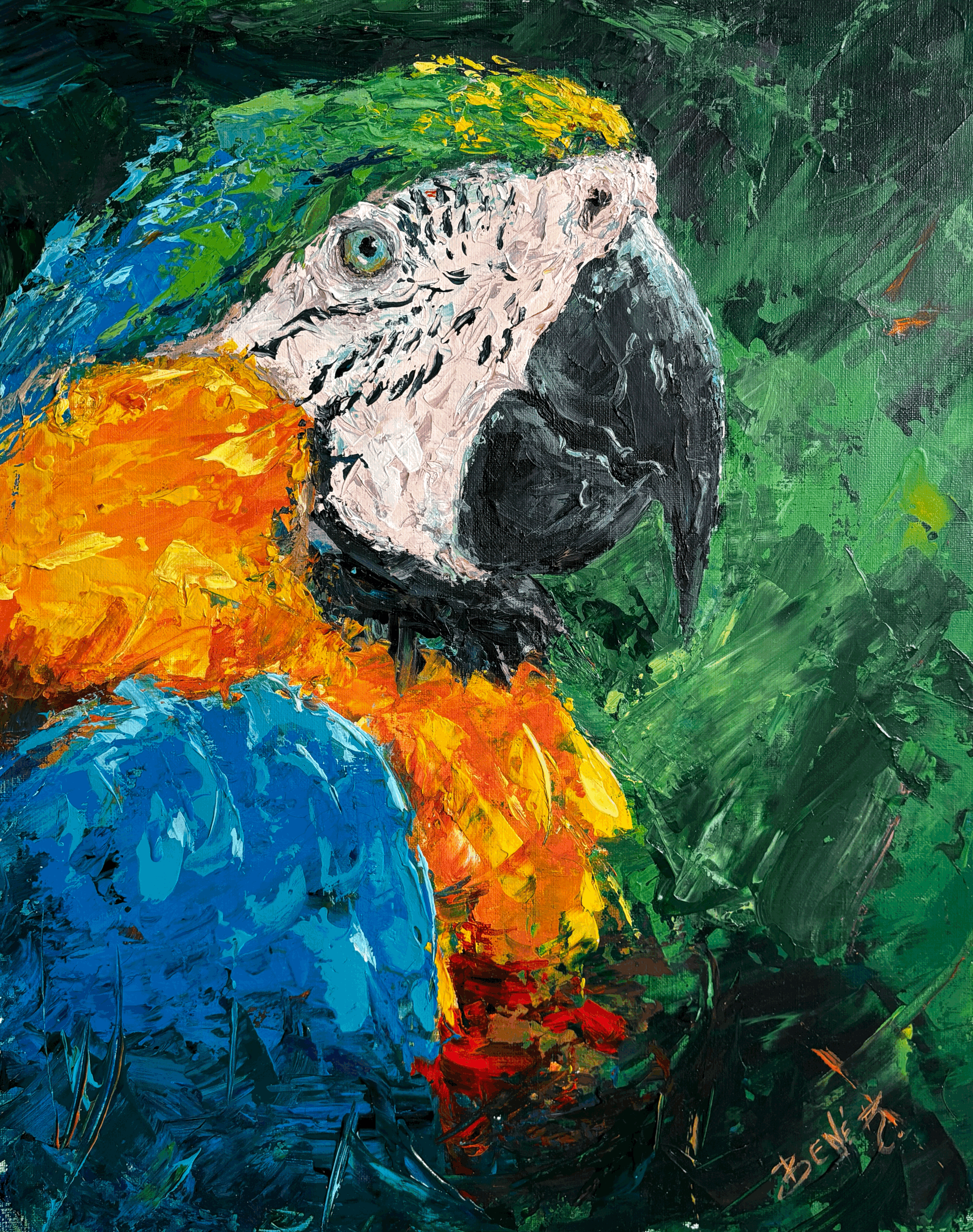 Arara Azul