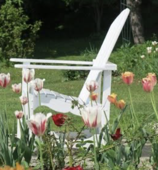 White wooden Adirondack chair surrounded by pink, red, and orange tulips in a garden with green grass and trees.