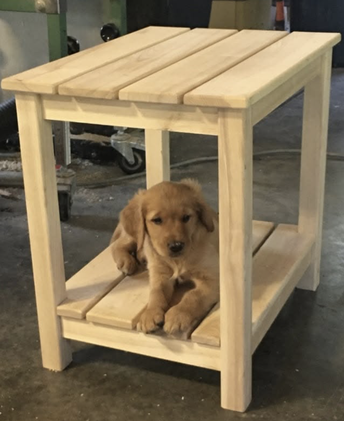 A small brown puppy lying inside a wooden doghouse with a slanted roof.