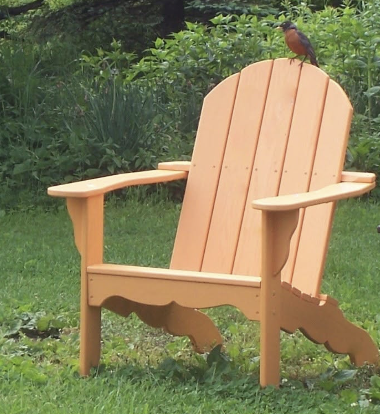 Wooden Adirondack chair on grass with a bird perched on top of the backrest, greenery in the background.