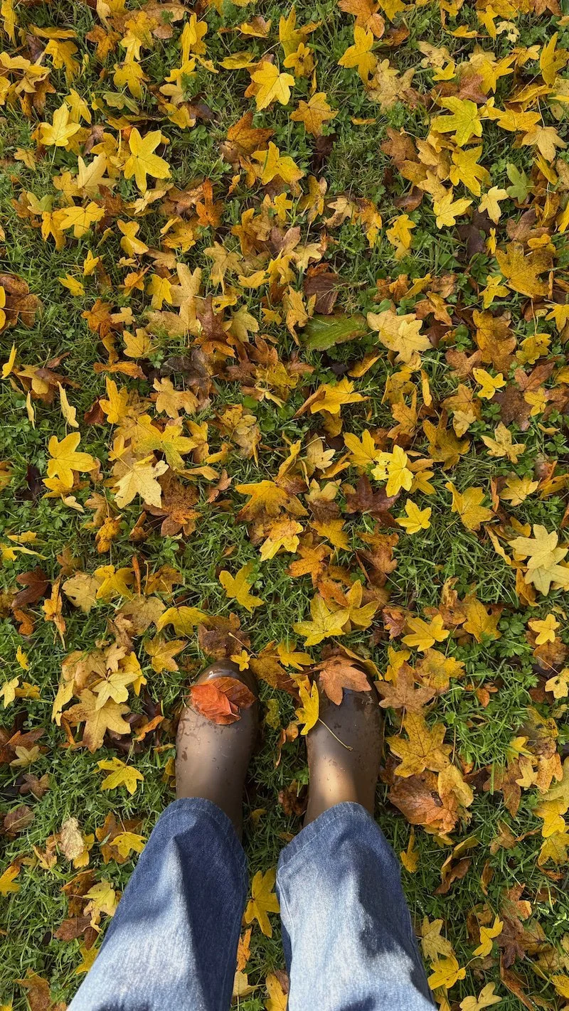 Pairs of brown rain boots on grass covered with fallen yellow and brown autumn leaves.