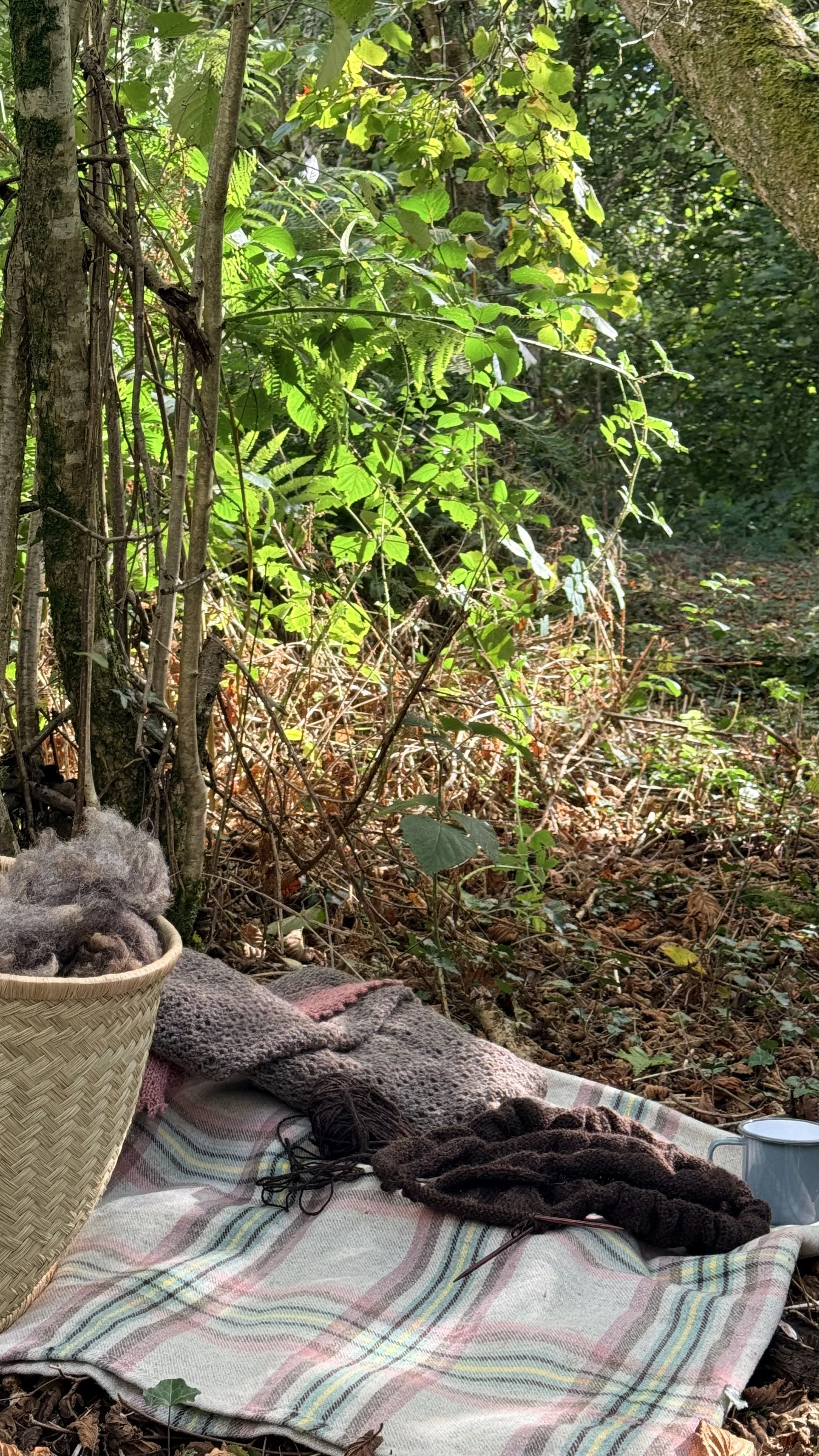 A picnic blanket with yarn, a basket of wool, and a cup is set on the ground in a wooded area surrounded by green trees and leaves.