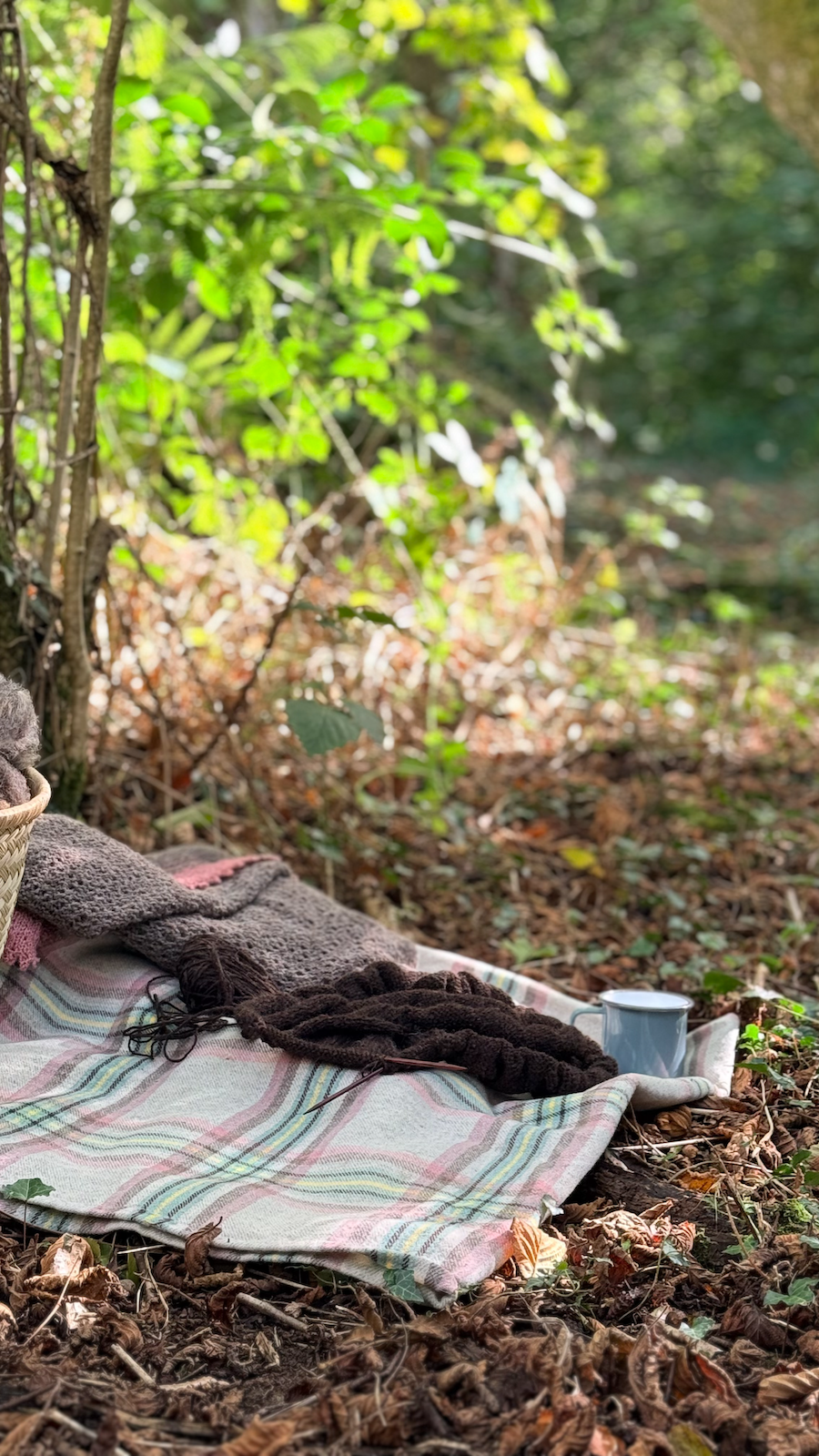 A picnic blanket with blankets, scarves, and a cup on the forest ground, surrounded by green foliage and trees.