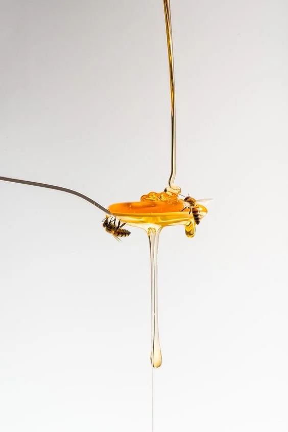 Honey being drizzled onto honeycomb with two bees on the honeycomb and a plain white background.