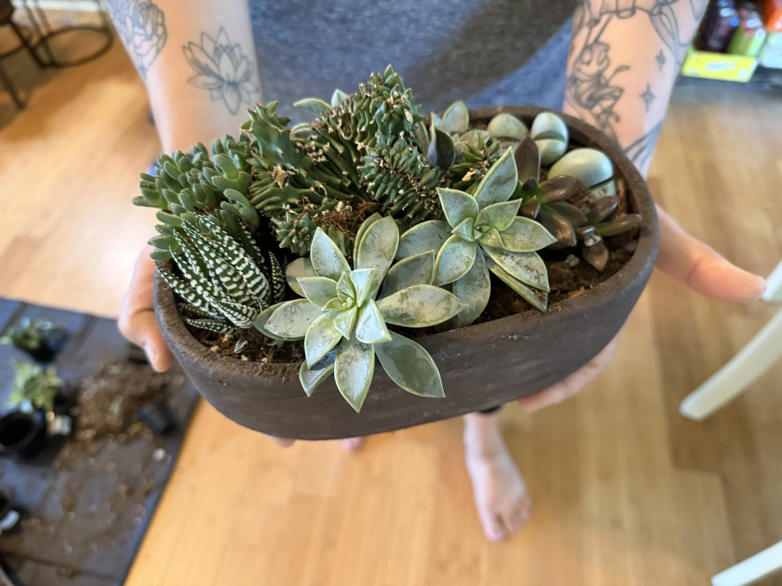 8" Custom Succulent Arrangement