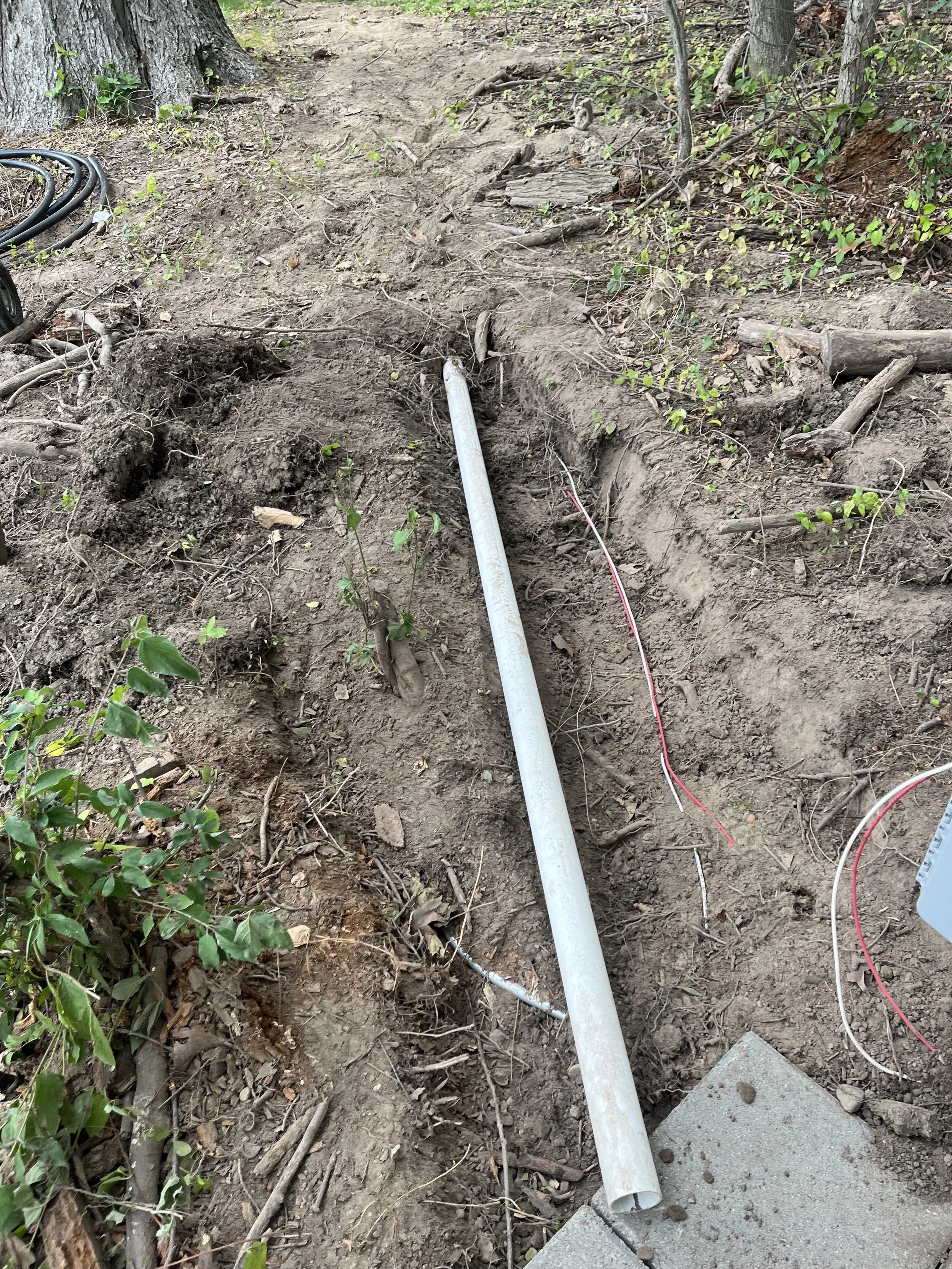 A trench dug in the dirt with a metal pipe and electrical wires inside, surrounded by soil, small plants, and tree roots, with some concrete and hose on the left side.