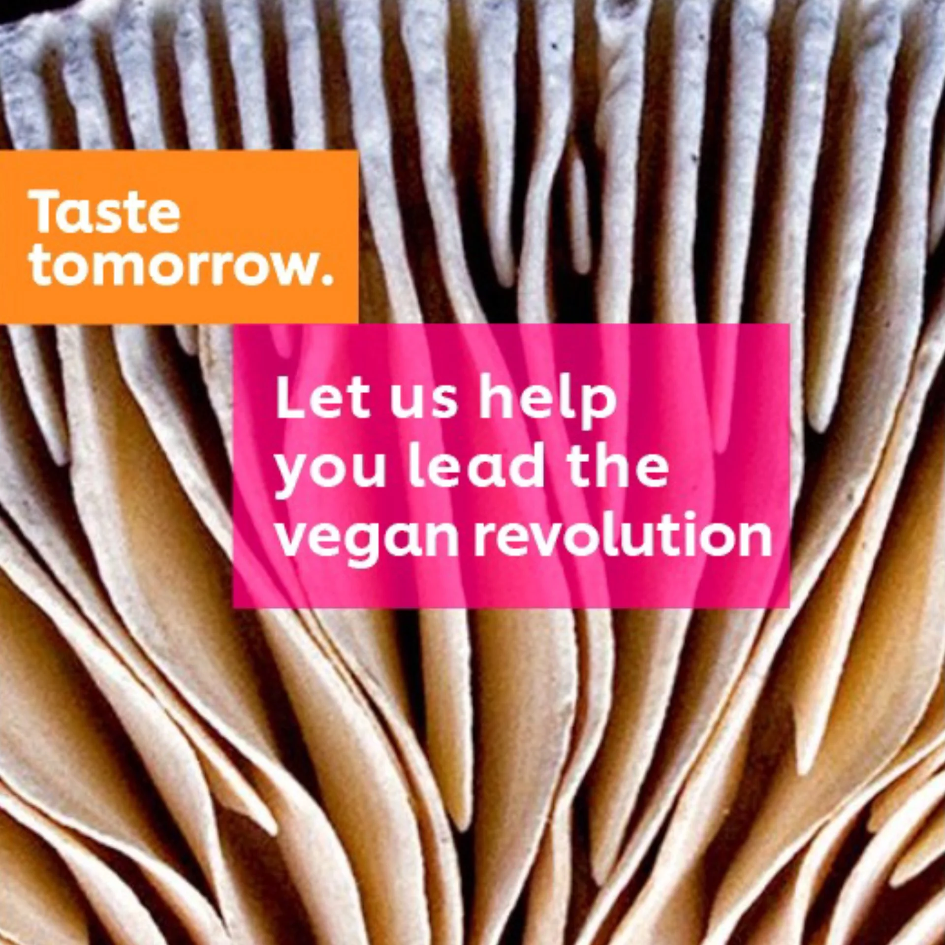 Taste Tomorrow.  Helping chefs navigate the future of food.